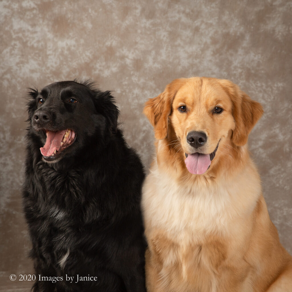 Portrait Session for 2 Sisters: Penny and Lucy