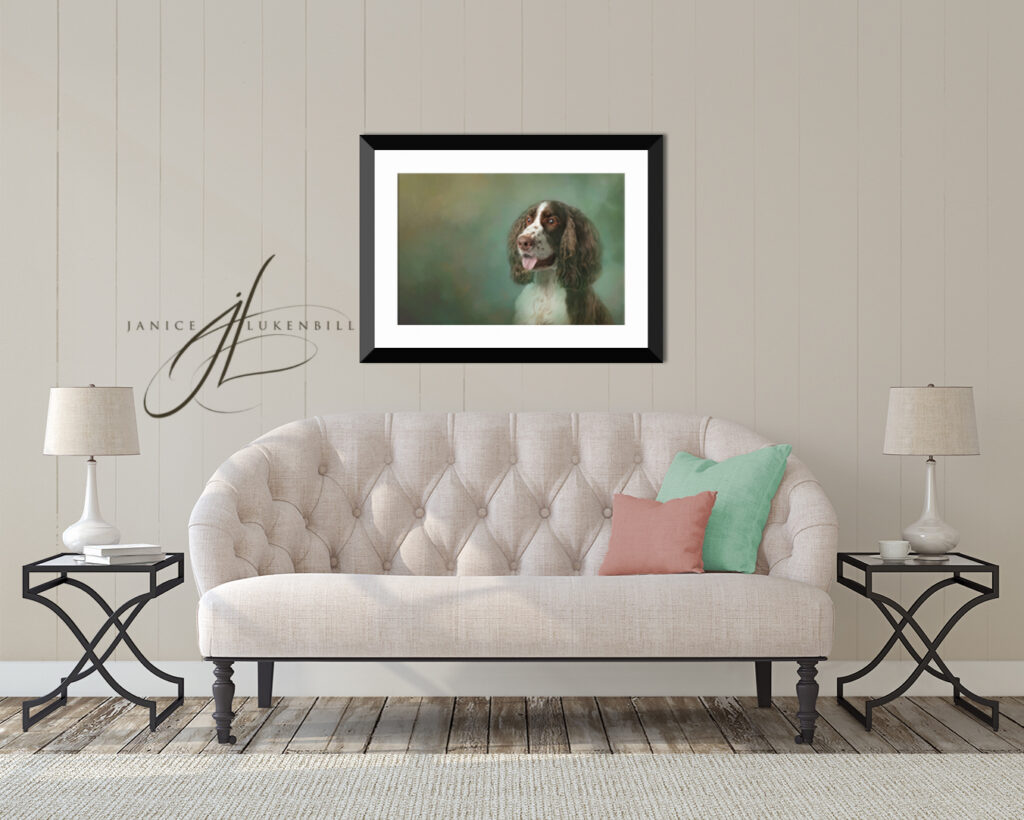 Living Room with English Springer art over the sofa